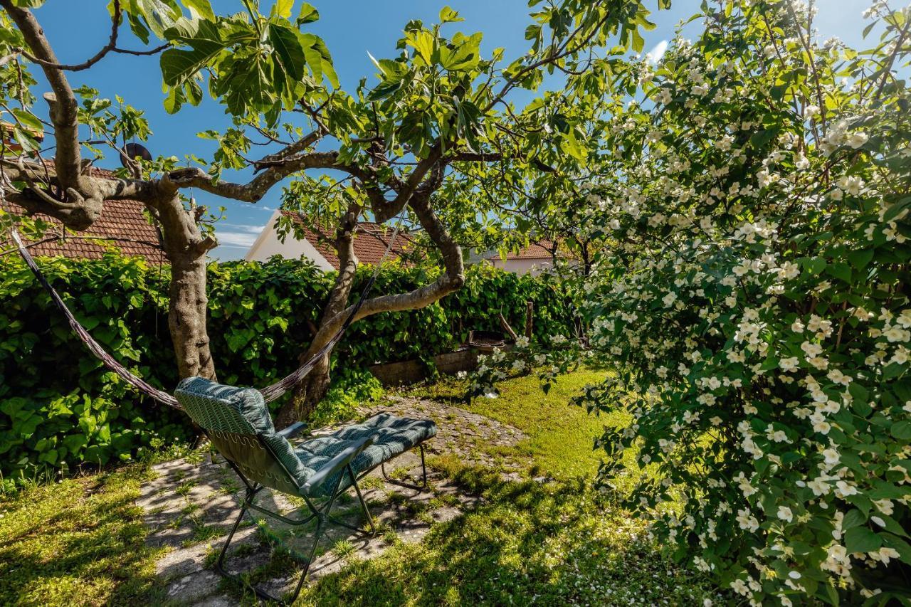Green Garden Apartments 赫尔采格诺维 外观 照片